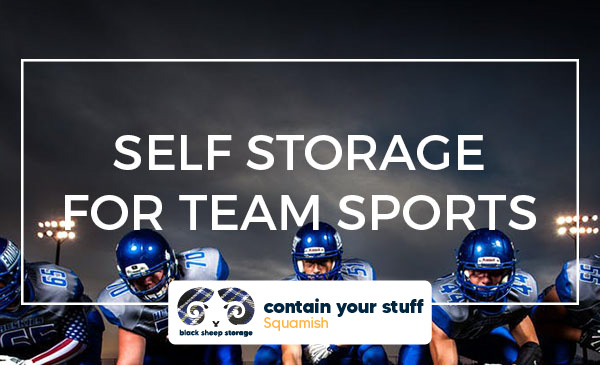 sports storage, team, self storage