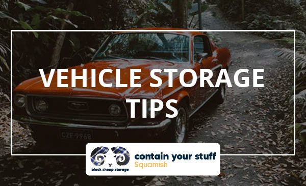 vehicle, storage, tips, car