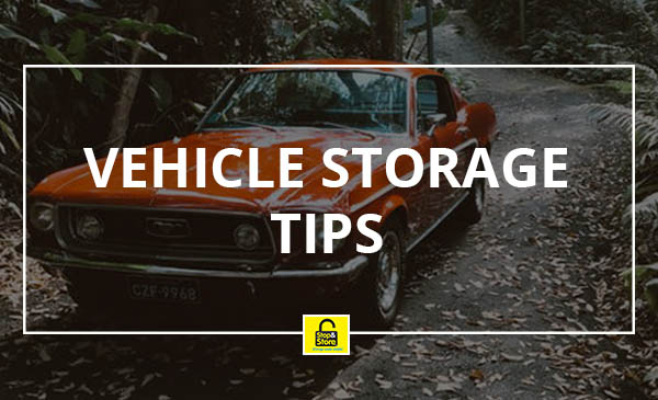 vehicle, storage, tips, car