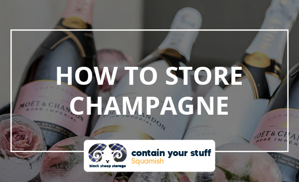 store, champagne, guide