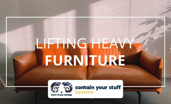 furniture, moving, sofa