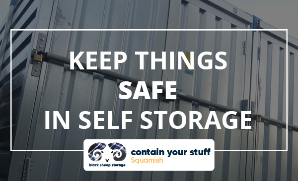 safe, self storage, lock, door