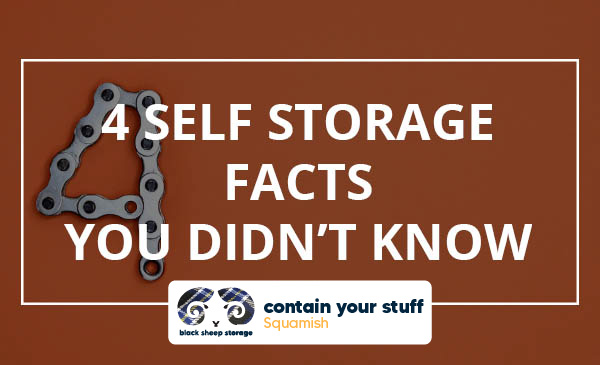 self storage facts